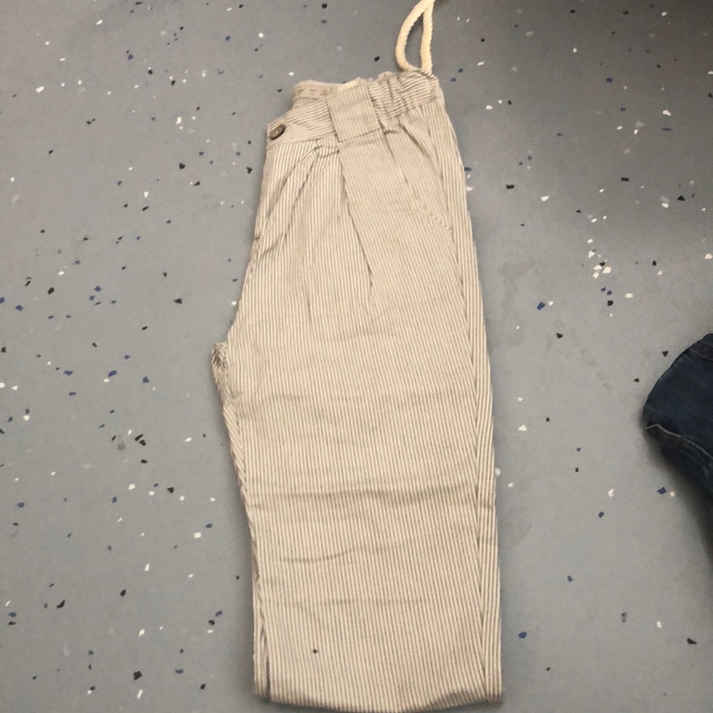 Zara Pinstripe pants